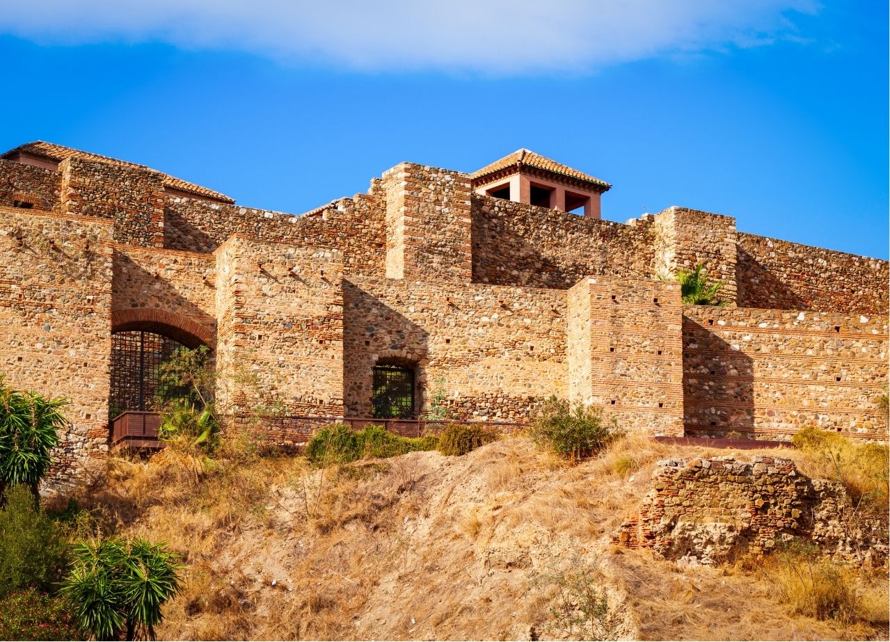 Copia de Beige Animated Skincare Product Instagram Story (600 x 600 px) (Pizarra online) (4)